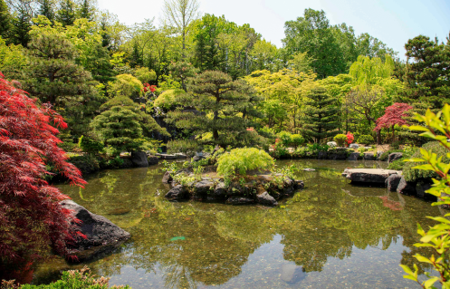 写真：天神山緑地