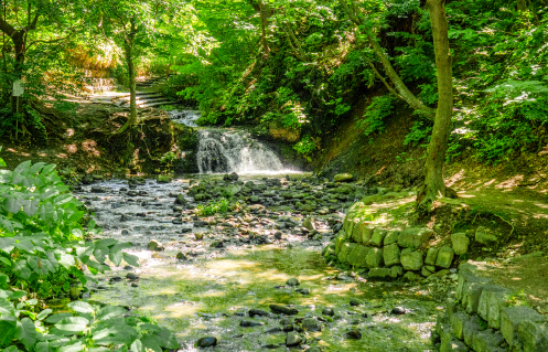 写真：精進河畔公園