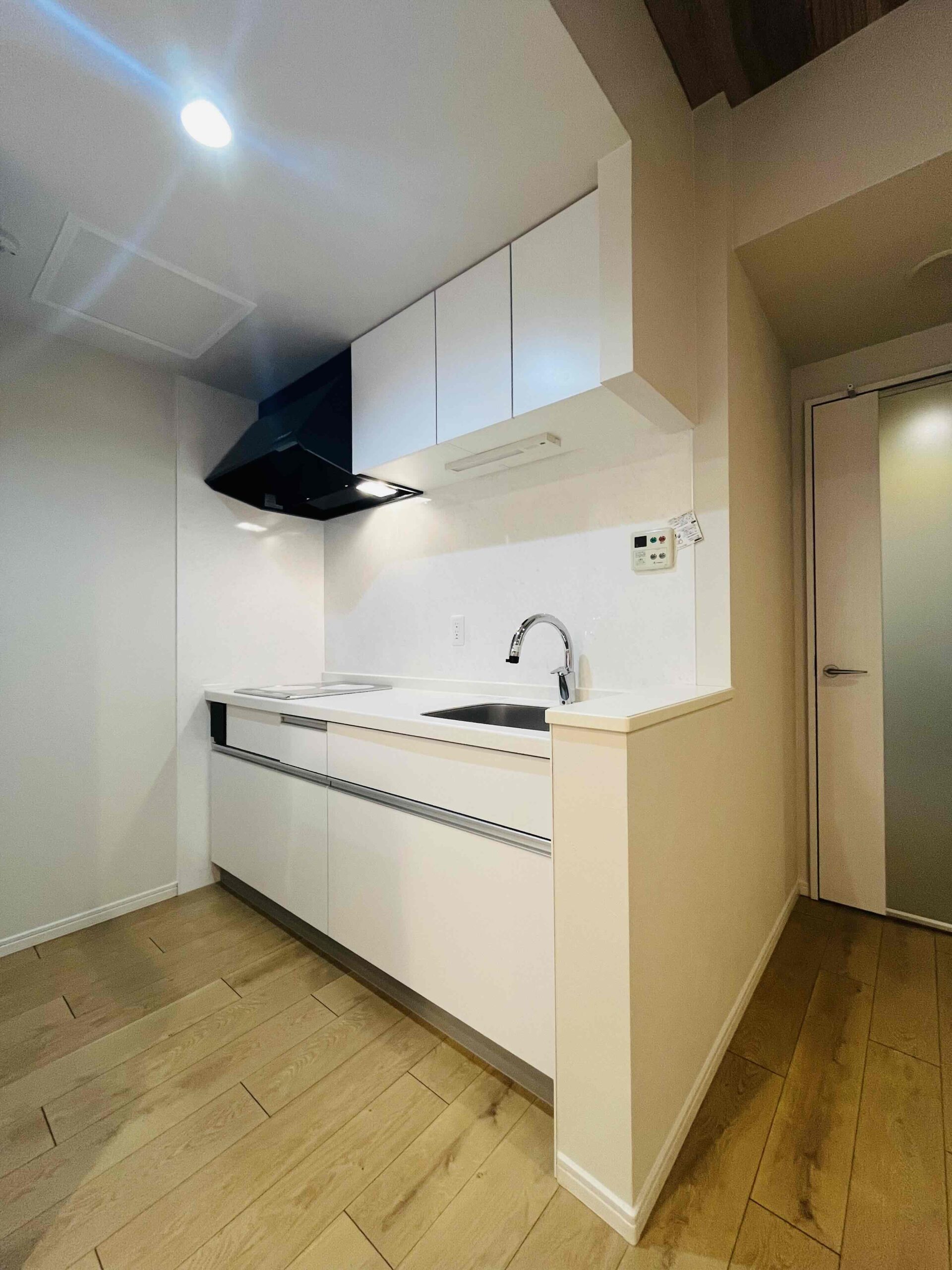 平岸222キッチン